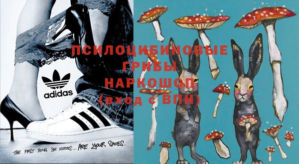 шишки Абдулино