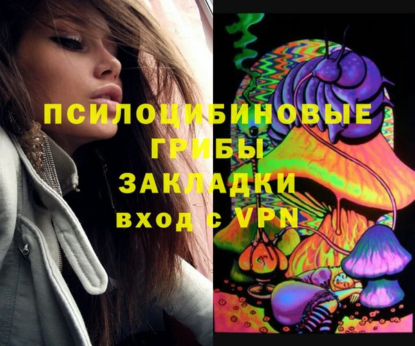 ALPHA PVP Алексин