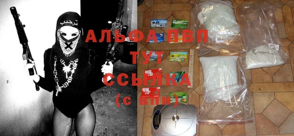 индика Елабуга